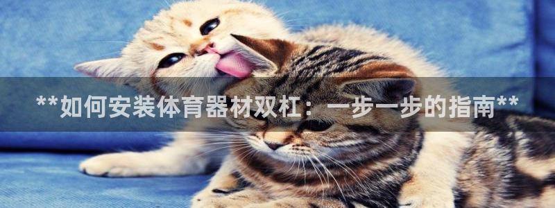 耀世的意思：**如何安装体育器材双杠：一步一步的指南