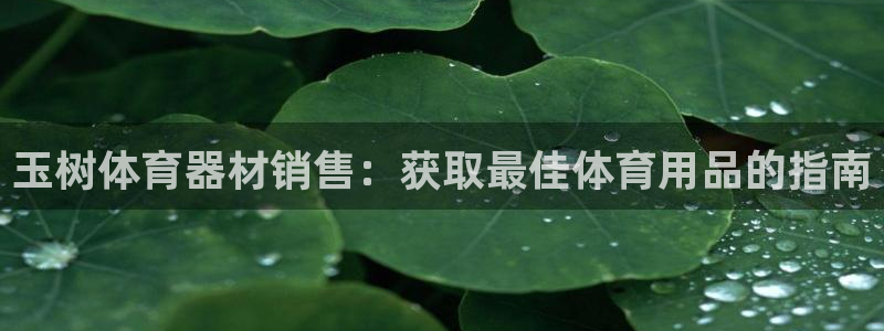 耀世平台日7O777：玉树体育器材销售：获取最佳体育