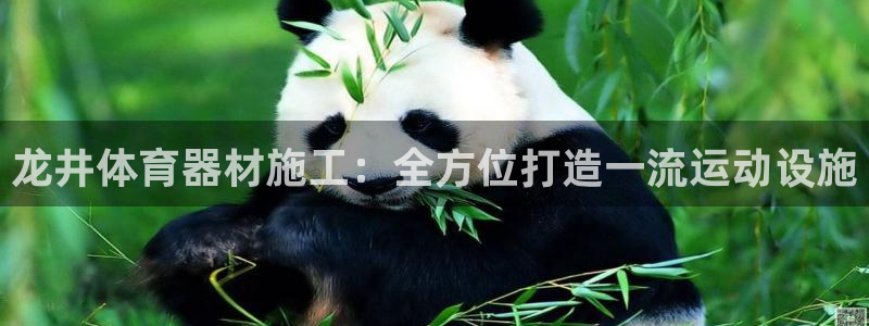 耀世娱乐注册官网入口：龙井体育器材施工：全方位打造一