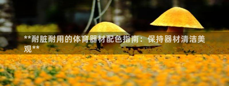 耀世娱乐老板是谁