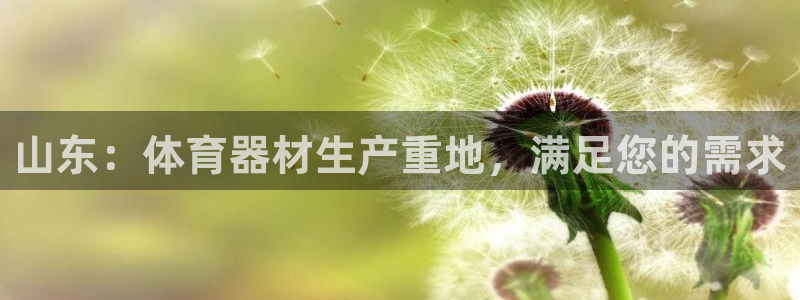 耀世娱乐违法吗：山东：体育器材生产重地，满足您的需求