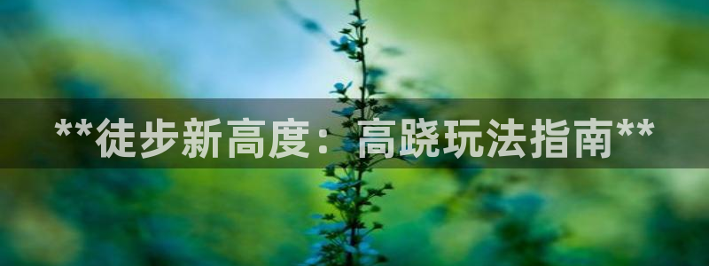 耀世微光下载