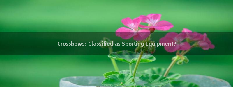 耀世平台嗯 5o69I7：Crossbows: Cl