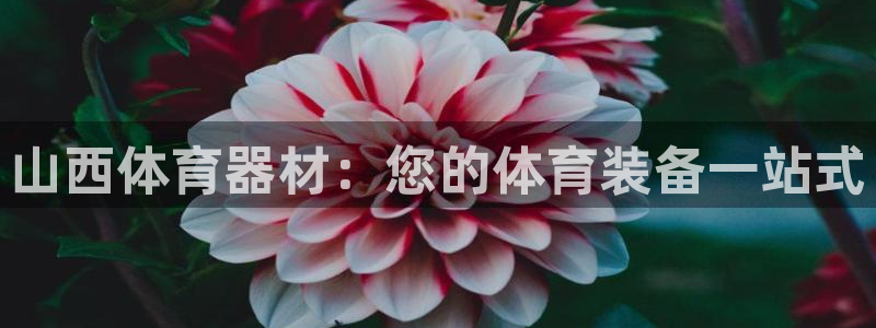 耀世团长：山西体育器材：您的体育装备一站式