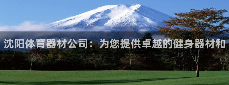 耀世兵权
