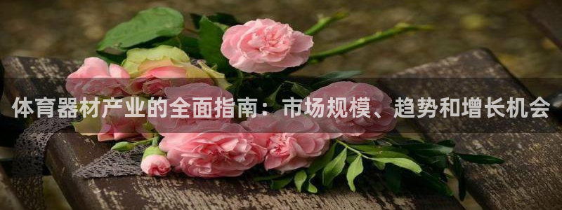 耀世娱乐腾讯分分彩代理联系方式：体育器材产业的全面指