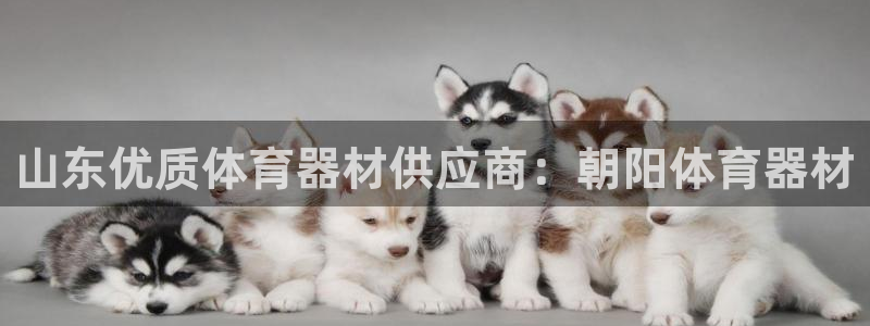 耀世娱乐注册