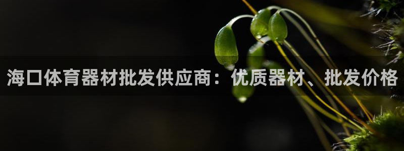 耀世平台代理注册登录不了：海口体育器材批发供应商：优