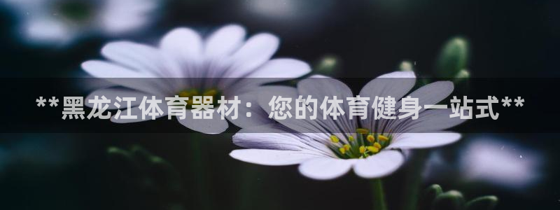 耀世微光mp3下载：**黑龙江体育器材：您的体育健身
