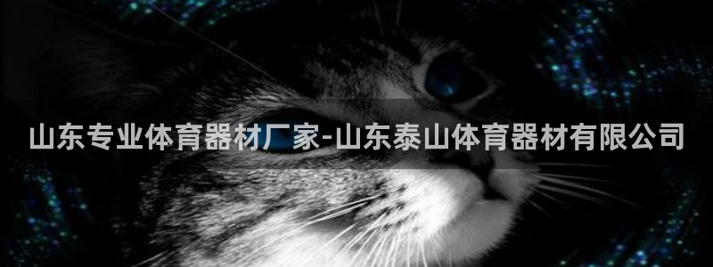 耀世娱乐如何登录账号啊：山东专业体育器材厂家-山东泰