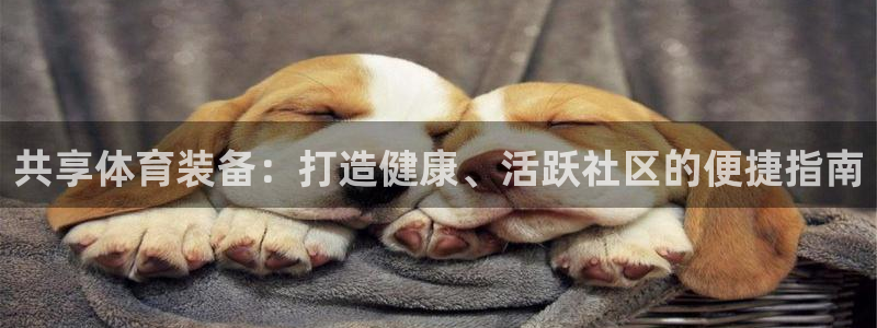 耀世娱乐好不好：共享体育装备：打造健康、活跃社区的便