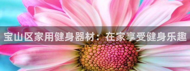 耀世娱乐可以玩吗：宝山区家用健身器材：在家享受健身乐