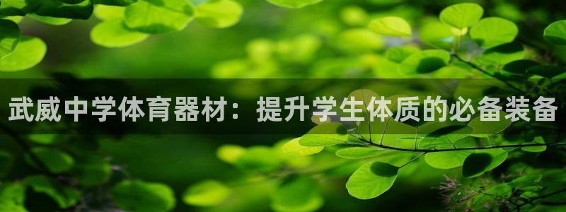 耀世平台客服24小时在线咨询：武威中学体育器材：提升