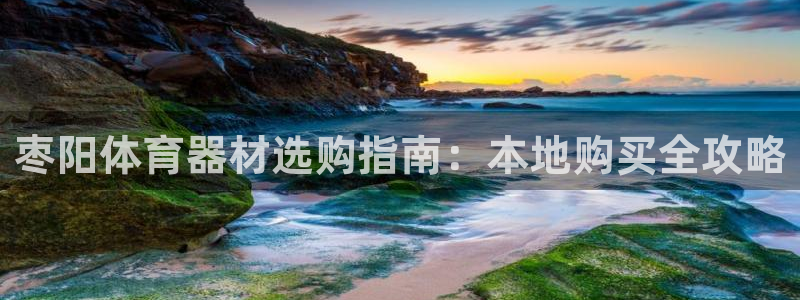 耀世集团商业联盟招聘：枣阳体育器材选购指南：本地购买