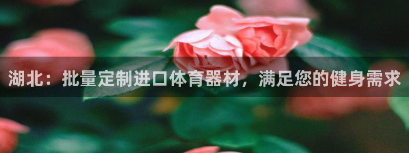 耀世娱乐提款：湖北：批量定制进口体育器材，满足您的健
