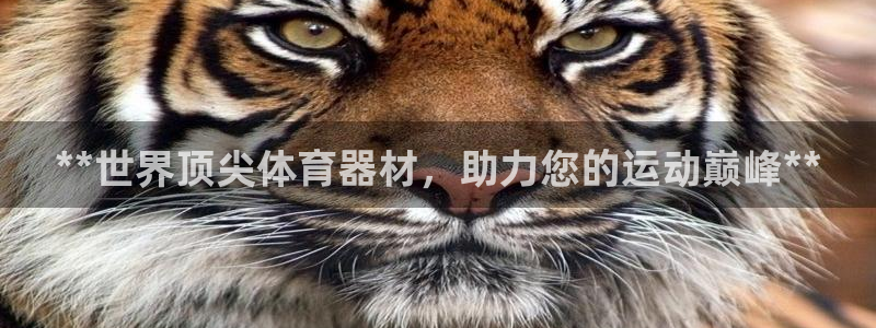 耀世娱乐辅助软件下载官网