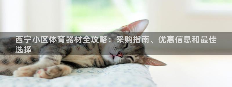 耀世娱乐提款怎么取消：西宁小区体育器材全攻略：采购指