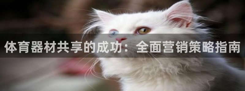 耀世天下图片