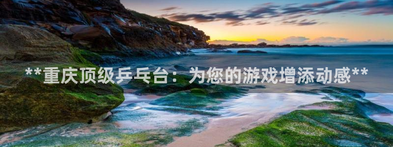 耀世娱乐：**重庆顶级乒乓台：为您的游戏增添动感**