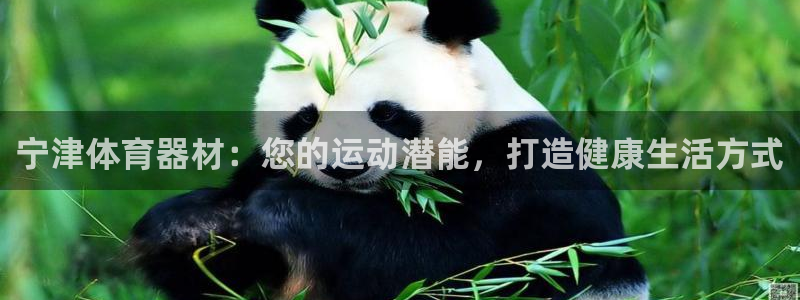 耀世娱乐如何登录账号啊：宁津体育器材：您的运动潜能，