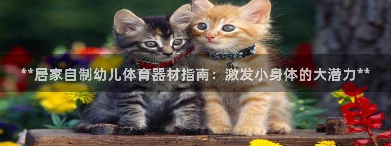 耀世平台可 585341 平台：**居家自制幼儿体育