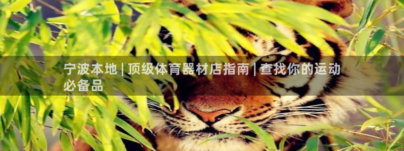 耀世娱乐软件下载