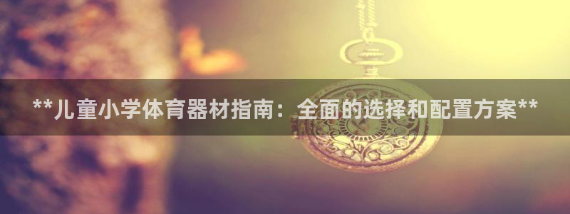 耀世平台代理怎么做的：**儿童小学体育器材指南：全面