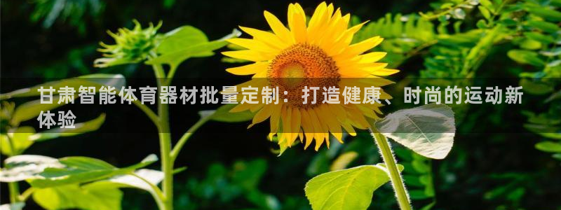 耀世娱乐平台官网登录不了了：甘肃智能体育器材批量定制