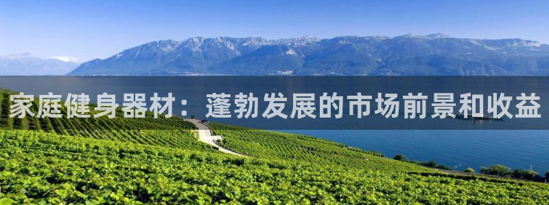 耀世娱乐官网注册流程：家庭健身器材：蓬勃发展的市场前