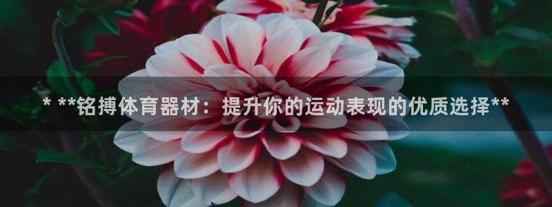 耀世娱乐出款快吗是真的吗：* **铭搏体育器材：提升