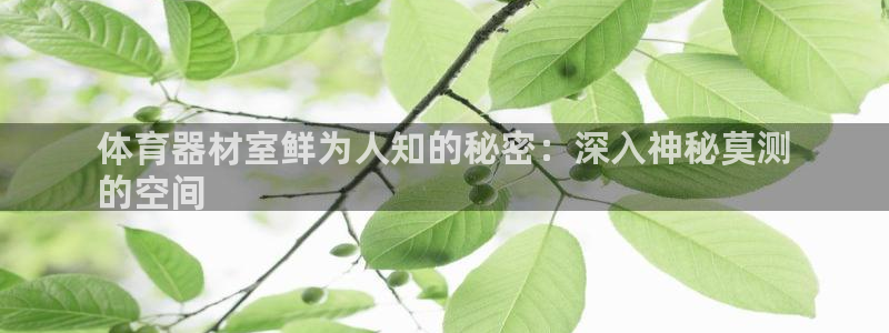 耀世娱乐价 411O31 耀世：体育器材室鲜为人知的