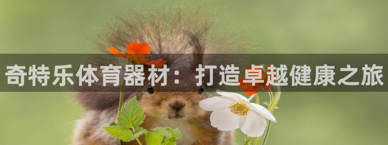 耀世娱乐腾讯分分彩代理联系方式：奇特乐体育器材：打造