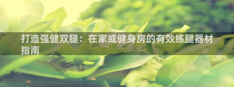 耀世集团董事长：打造强健双腿：在家或健身房的有效练腿