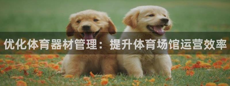 耀世娱乐注册官网：优化体育器材管理：提升体育场馆运营