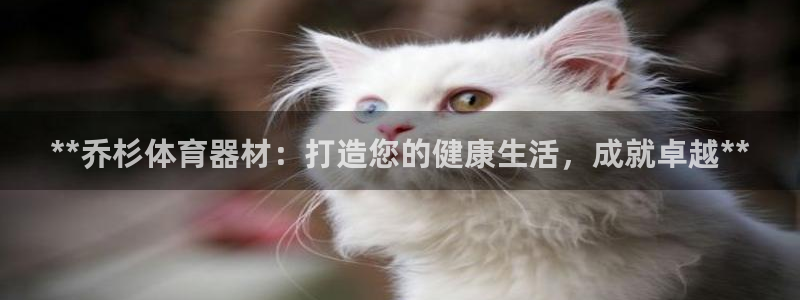 耀世雷霆官方版：**乔杉体育器材：打造您的健康生活，