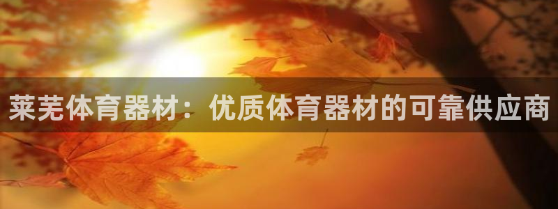 耀世娱乐软件下载：莱芜体育器材：优质体育器材的可靠供