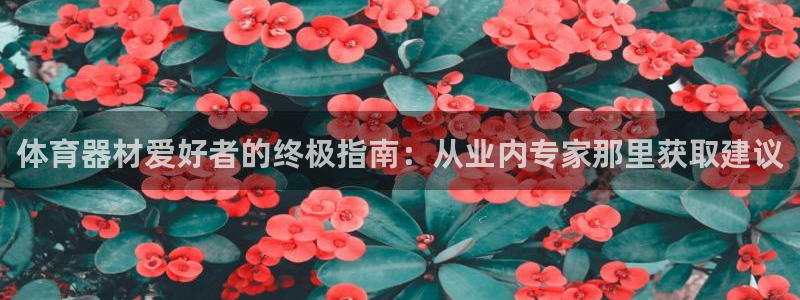耀世盛典官网入口：体育器材爱好者的终极指南：从业内专