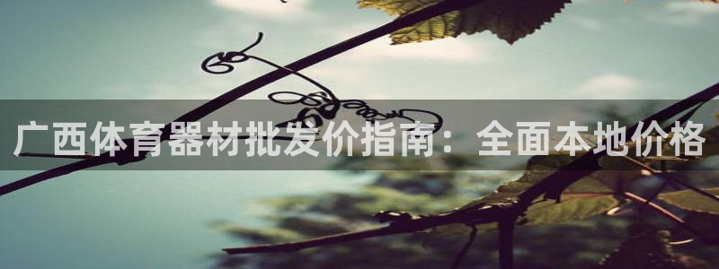 耀世国际集团是国企吗：广西体育器材批发价指南：全面本