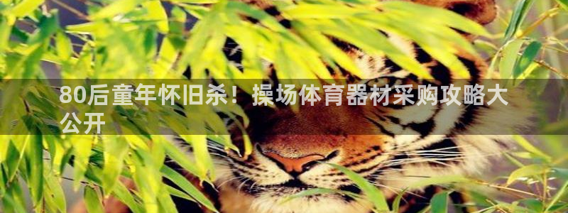 耀世啥意思：80后童年怀旧杀！操场体育器材采购攻略大