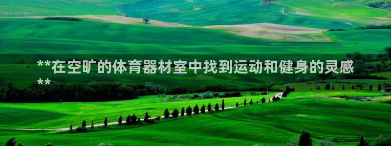 耀世集团王总：**在空旷的体育器材室中找到运动和健身
