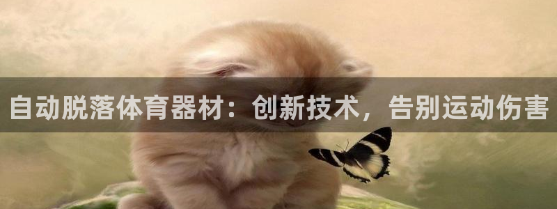 耀世幻主：自动脱落体育器材：创新技术，告别运动伤害