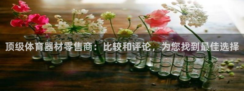 耀世平台面 411O31 平台：顶级体育器材零售商：