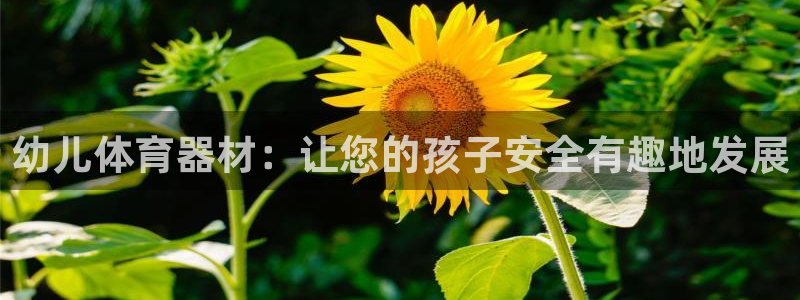 耀世平台卜6.7.5.1.3.8：幼儿体育器材：让您