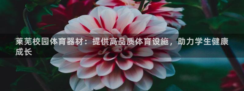 耀世天下的图片