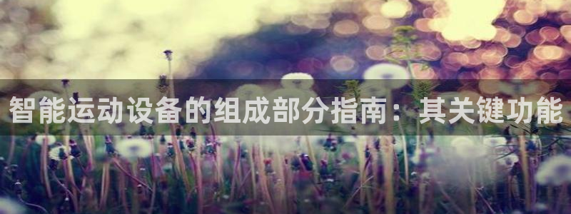 耀世第三关怎么过