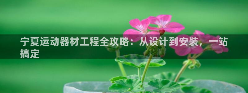 耀世娱乐出款快吗是真的吗：宁夏运动器材工程全攻略：从