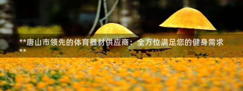 耀世娱乐登录注册不了：**唐山市领先的体育器材供应商