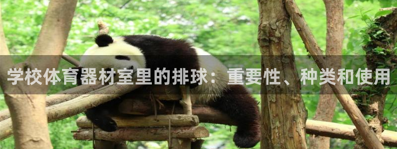 耀世娱乐注册开户流程：学校体育器材室里的排球：重要性