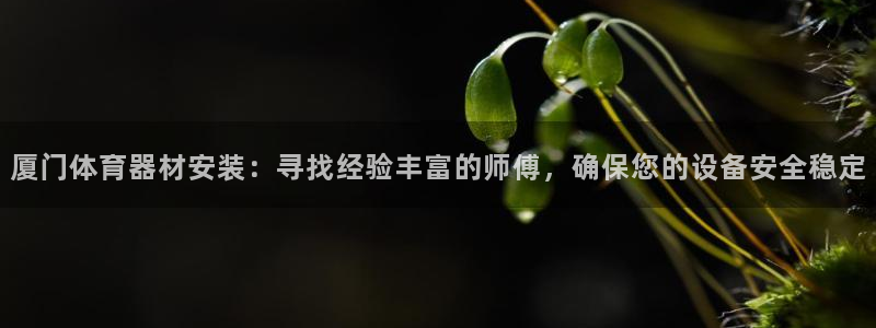 耀世微光歌曲下载