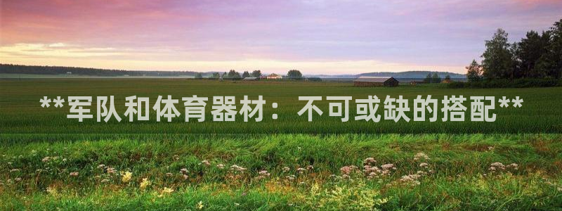 耀世娱乐挂机脚本下载：**军队和体育器材：不可或缺的